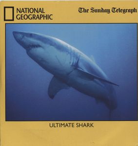 Ultimate Shark