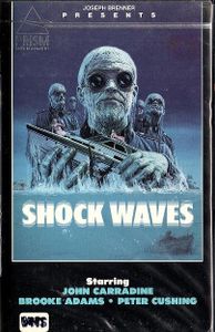 Shock Waves