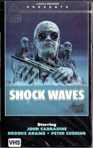 Shock Waves