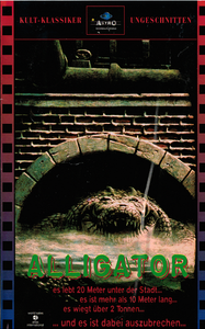 Alligator