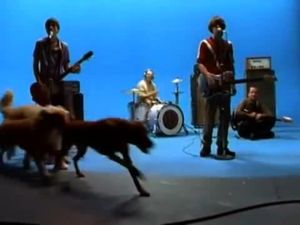 Weezer: Undone (The Sweater Song)