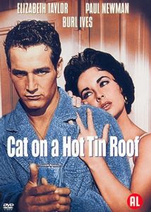 Cat On A Hot Tin Roof