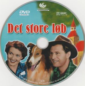 Det store løb