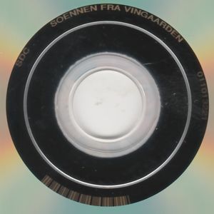 Sønnen fra Vingården