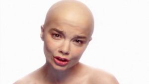 Björk: Hunter