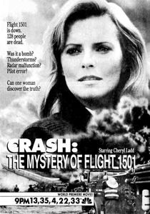 Crash: The Mystery Of Flight 1501