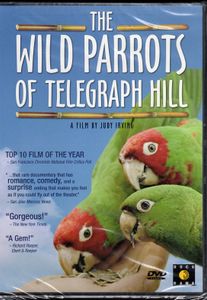 The Wild Parrots of Telegraph Hill