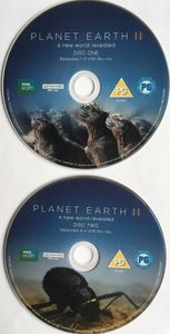 Planet Earth II