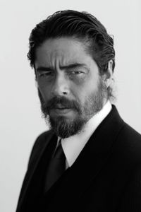 Benicio Del Toro