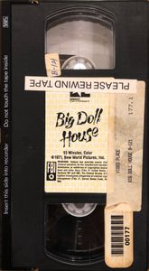 Big Doll House