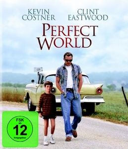 A Perfect World