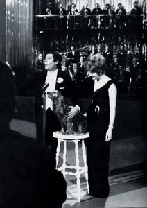 Mina (Gli Anni Rai)