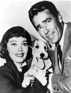 The Thin Man