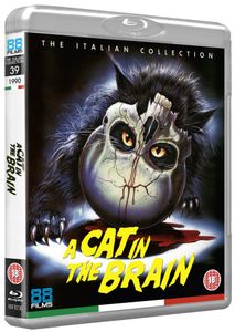A Cat In The Brain