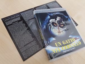 A Cat In The Brain