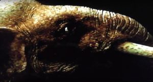 Island of the Pygmy Mammoth