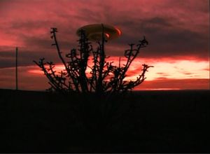 UFO