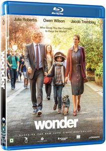 Wonder
