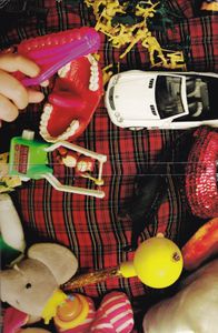 The Andy Milonakis Show: The Complete First Season