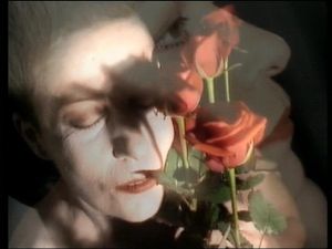 Una Rosa È Una Rosa