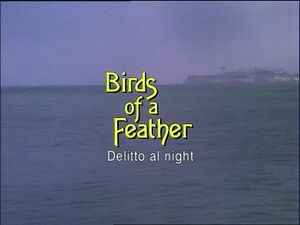 Birds Of A Feather
