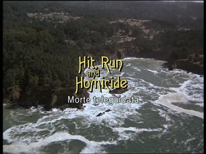 Hit, Run And Homicide