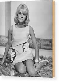 Judy Geeson