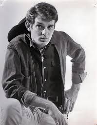 Bo Hopkins