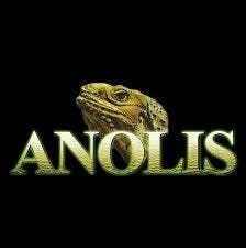 Anolis