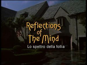 Reflections Of The Mind