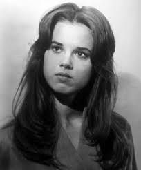 Lee Purcell