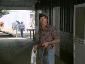 Dead Heat