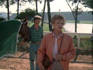 Dead Heat