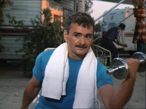 Dead Heat