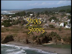 Sticks And Stones