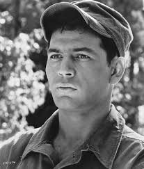 Robert Forster