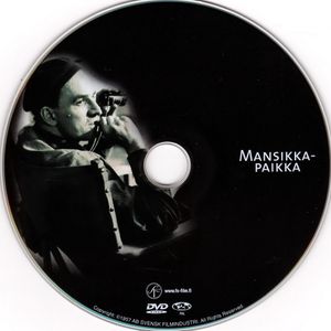 Mansikkapaikka