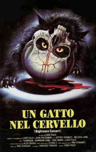 Un Gatto Nel Cervello