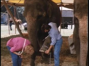 Death Stalks the Big Top: Part 1