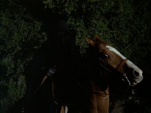 Night Of The Headless Horseman