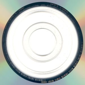 Der Tag des Falken