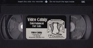 Video Catnip