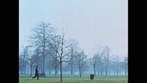Park Film