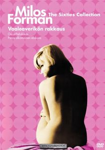 Vaaleaverikön Rakkaus