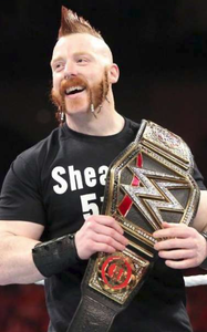 Sheamus O'Shaunessy