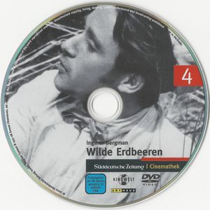 Wilde Erdbeeren