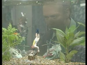 The Mating Game