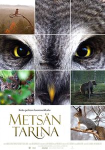 Metsän Tarina