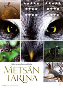 Metsän Tarina