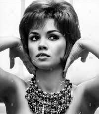 Jocelyn Lane